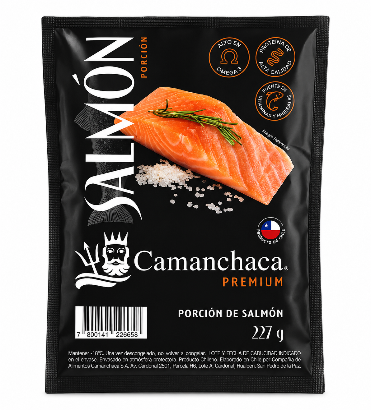 Salmón porcionado — Salmón